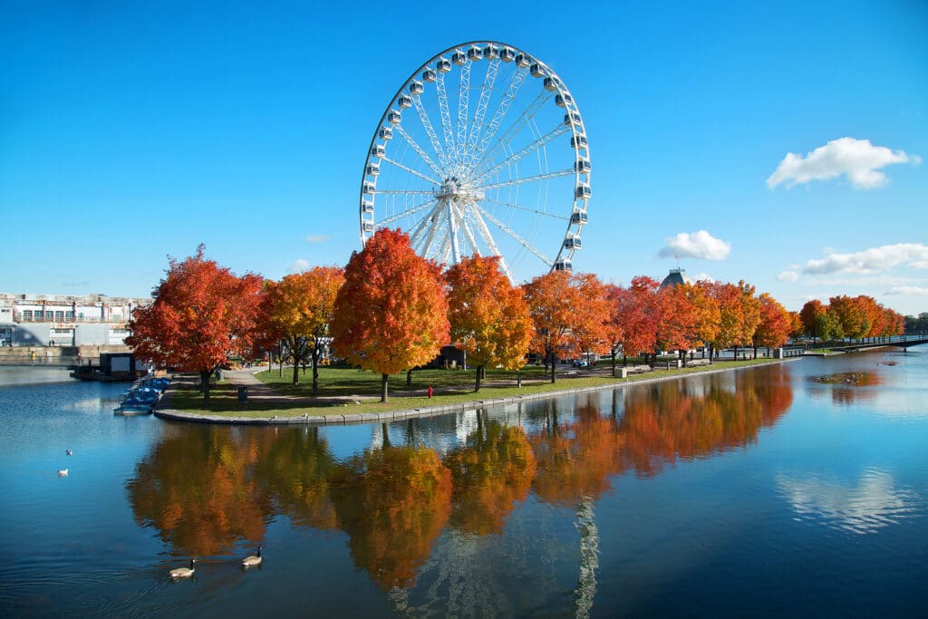 Great wheel of Montreal with his panoramic view 60 of meters hig